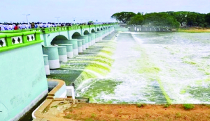 PMK opposes new tribunal on Mekedatu, urges TN Govt to withdraw proposal