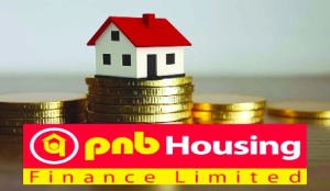 PNB Housing eyes Rs 100 cr micro-loan book in FY27