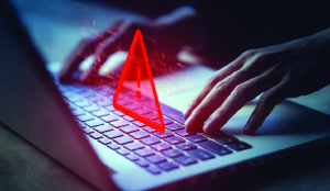 Police bust international cyber fraud syndicate