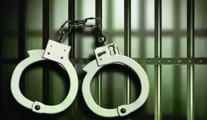 Police bust organised mobile-snatching gang