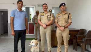 Police dog helps crack blind rape case in Sambhal, traces scent trail to key leads
