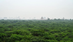 Proposals involving Delhi Ridge, forest land use for non-forestry purposes under scrutiny