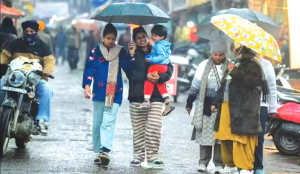 Punjab, Haryana get more than expected rain in January