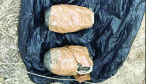 Punjab: Two linked to cross border terror module held