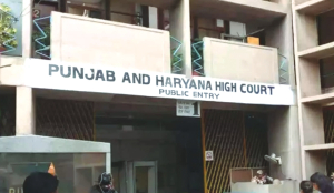 Punjab and Haryana HC bars judicial officers from using AI tools to write judgments