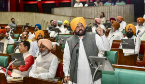 Punjab Cabinet clears three foodgrain policies for Kharif season