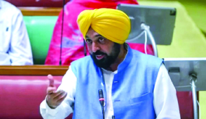 Punjab CM Mann announces 7,000 km of pipeline to take canal water to every farm