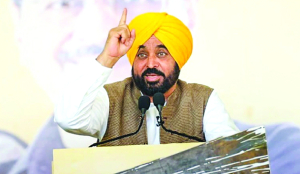 Punjab CM Mann announces hike in cooperative loan limit for various crops