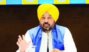 Punjab CM Mann calls for massive awareness drive to curb stubble burning