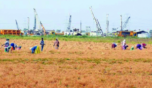 Punjab decides to amend land pooling policy