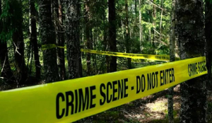 Punjab man arrested for killing teen girl, burns body in suitcase to hide crime