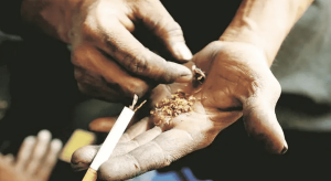 Punjab polls: Parties clash over drug menace as election campaign gains momentum