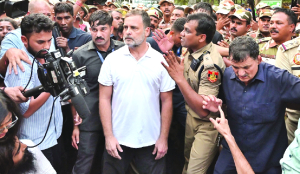 Rahul calls new trespass FIR a medal