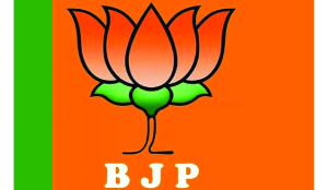 Rahul not acceptable to allies: BJP after RS win