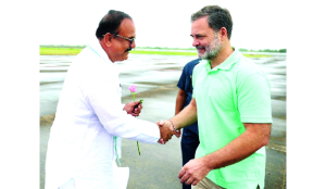 Rahul urges Congress cadre in Nashik to stand by ideology