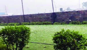 Rain, hail hit parts of Delhi-NCR