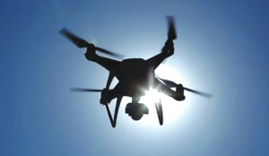 Rajasthan HC prohibits night safaris, drone usage in Jawai Leopard Reserve