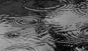 Rajasthan rains: Jaipur gets 37.8 mm, monsoon withdrawal likely from September 19