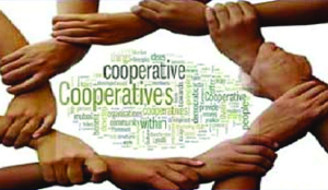 Rapid survey of cooperative societies underway: Officials