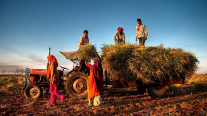 Recalibrating Indian agriculture