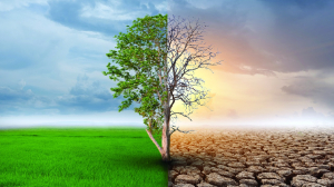 Reclaiming Purpose in a Procedural Climate Regime