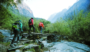 Reconnecting the human being with nature, community, creativity and the body