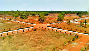 Registration reform must move beyond procedure to protect ownership