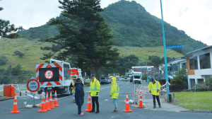 Rescue efforts underway after landslides hit New Zealand, two dead