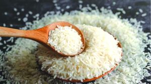 Rice exporters seek urgent relief as Iran crisis disrupts exports, shipping