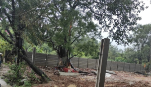 RMC frees encroached land for vending zones and public amenities