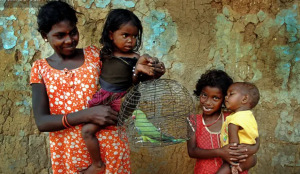 Rs 15 crore short: CAG exposes tribal land compensation gap in Bengal