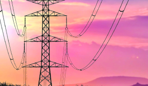 Rs 3,942 crore allocated to power department