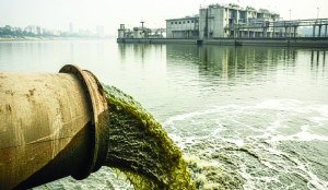 Rs 4,500 crore approved to check untreated sewage flow into Yamuna