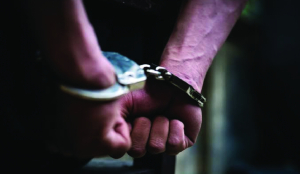 Rs 5,600 crore cyber fraud ring busted; 2 held: UP Police