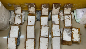 Rs 5 crore ephedrine seized from 3 New Zealand-bound courier parcels; one held in Chennai