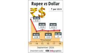 Rupee closes unchanged at 95.89 against US dollar
