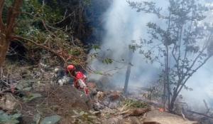 Safari helicopter crash in northern Kenya kills seven, including five Americans