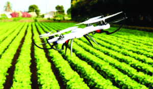 Sahkar se Samriddhi: The rural economy’s new chapter on the road to Viksit Bharat