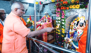 Sanatana Dharma can never be erased: VP