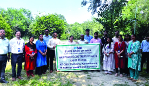 SBI plants 200 trees in Shahdara, Surajmal Vihar