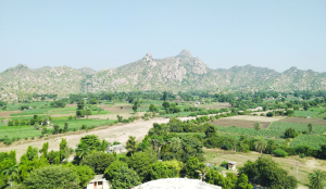 SC’s Aravalli panel seeks extension for final report