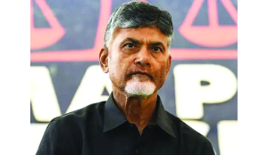 SC backs Chandrababu Naidu in Amaravati case