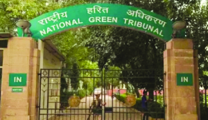 SC backs NGT order on landlord liability