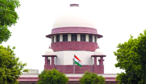 SC bats for victim-centric approach in fraud cases