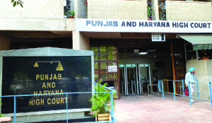 SC collegium approves names of 10 advocates as judges of Punjab, Haryana HC