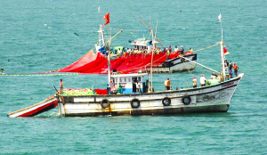 SC frowns upon unwritten ban imposed on TN fishermen on purse seine fishing