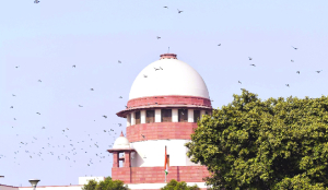 SC grants bail to narco-terror case accused