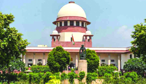 SC grants interim bail to two Delhi riots accused