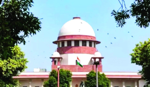 SC irked over non-compliance of orders by states in stray dog case