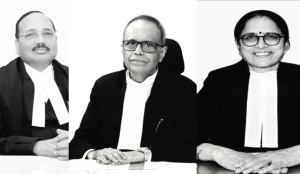 SC seeks ECI records amid SIR row